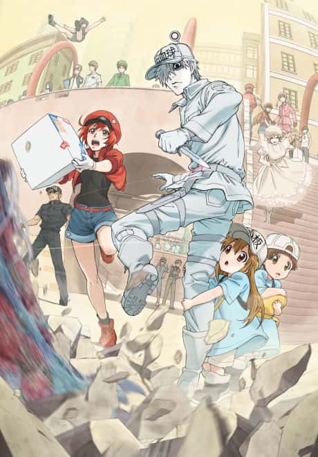 Cells At Work!