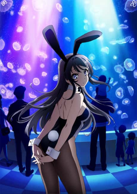 Rascal Does Not Dream of a Bunny Girl Senpai