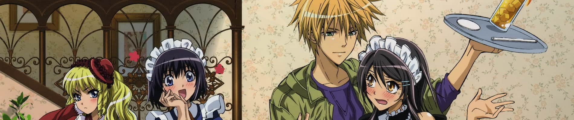 Maid Sama!